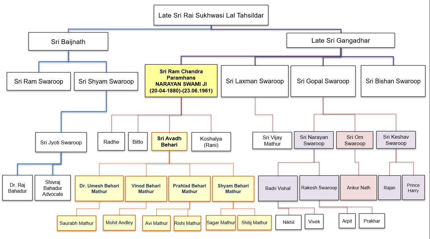 Family Tree21 lineage chart